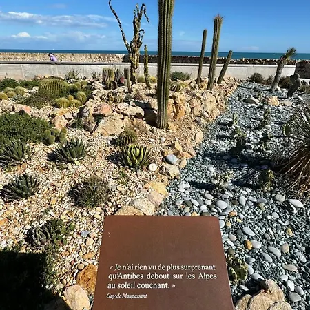 아파트 Penthouse Vue Avec Rooftop,jacuzzi,et Parking Prive